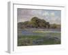 A Road through the Bluebonnets, C.1919 (Oil on Wood)-Julian Onderdonk-Framed Giclee Print