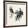 A Roadside Sketch, Canada, Nineteenth Century-null-Framed Giclee Print