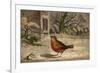 A Robin on the Snow-Covered Ground. (Erithacus Rubecula)-null-Framed Art Print