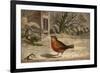 A Robin on the Snow-Covered Ground. (Erithacus Rubecula)-null-Framed Art Print