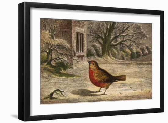 A Robin on the Snow-Covered Ground. (Erithacus Rubecula)-null-Framed Art Print