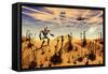 A Robot Tending to a Desert Garden Located on a Moon-Stocktrek Images-Framed Stretched Canvas