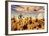 A Robot Tending to a Desert Garden Located on a Moon-Stocktrek Images-Framed Art Print