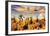 A Robot Tending to a Desert Garden Located on a Moon-Stocktrek Images-Framed Art Print