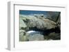 A rock bridge in Western Australia-Natalie Tepper-Framed Photo