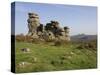 A Rock Outcrop on Hound Tor with Haytor Rocks on the Skyline, Dartmoor National Park, Devon, Englan-James Emmerson-Stretched Canvas