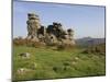 A Rock Outcrop on Hound Tor with Haytor Rocks on the Skyline, Dartmoor National Park, Devon, Englan-James Emmerson-Mounted Photographic Print