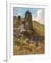 A Rocky Outcrop-Arthur Hughes-Framed Giclee Print