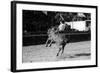 A Rodeo in Buenos Aires-Mario de Biasi-Framed Giclee Print