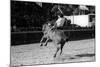 A Rodeo in Buenos Aires-Mario de Biasi-Mounted Giclee Print