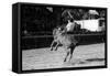 A Rodeo in Buenos Aires-Mario de Biasi-Framed Stretched Canvas
