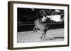 A Rodeo in Buenos Aires-Mario de Biasi-Framed Giclee Print