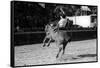 A Rodeo in Buenos Aires-Mario de Biasi-Framed Stretched Canvas