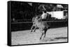 A Rodeo in Buenos Aires-Mario de Biasi-Framed Stretched Canvas