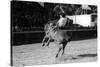 A Rodeo in Buenos Aires-Mario de Biasi-Stretched Canvas