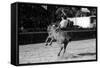 A Rodeo in Buenos Aires-Mario de Biasi-Framed Stretched Canvas