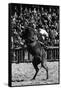 A Rodeo in Buenos Aires-Mario de Biasi-Framed Stretched Canvas