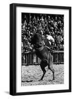 A Rodeo in Buenos Aires-Mario de Biasi-Framed Premium Giclee Print