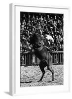 A Rodeo in Buenos Aires-Mario de Biasi-Framed Giclee Print