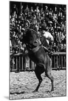 A Rodeo in Buenos Aires-Mario de Biasi-Mounted Giclee Print