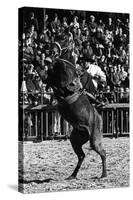 A Rodeo in Buenos Aires-Mario de Biasi-Stretched Canvas