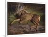 A Roe Deer in the Forest (Oil on Canvas)-Rosa Bonheur-Framed Giclee Print