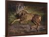 A Roe Deer in the Forest (Oil on Canvas)-Rosa Bonheur-Framed Giclee Print