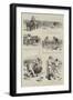 A Rogue Ostrich, an Episode on an African Farm-Godefroy Durand-Framed Giclee Print