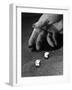 A Roll of the Dice-null-Framed Photographic Print