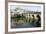 A Roman Bridge, Built in the Reign of the Emperor Tiberius, Spans the River Vidourle at Sommieres-Stuart Forster-Framed Photographic Print