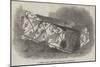 A Roman Coffin, Recently Discovered at Shadwell-null-Mounted Giclee Print