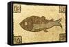 A Roman Mosaic Panel Depicting a Fish-null-Framed Stretched Canvas