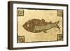 A Roman Mosaic Panel Depicting a Fish-null-Framed Giclee Print