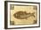 A Roman Mosaic Panel Depicting a Fish-null-Framed Giclee Print