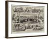 A Roman Tattersall'S-null-Framed Giclee Print