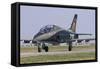 A Romanian Air Force Advanced Trainer Iar 99 Soim-Stocktrek Images-Framed Stretched Canvas