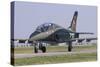 A Romanian Air Force Advanced Trainer Iar 99 Soim-Stocktrek Images-Stretched Canvas