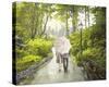 A Romantic Walk-Midori Greyson-Stretched Canvas