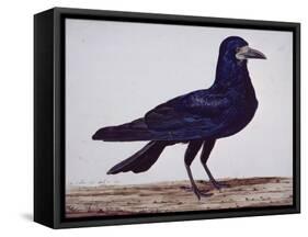 A Rook-Charles Collins-Framed Stretched Canvas