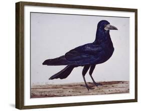 A Rook-Charles Collins-Framed Giclee Print