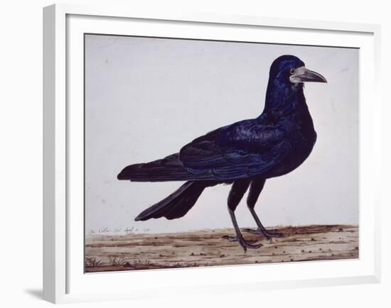 A Rook-Charles Collins-Framed Giclee Print