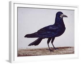 A Rook-Charles Collins-Framed Giclee Print