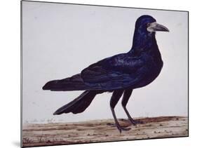 A Rook-Charles Collins-Mounted Giclee Print