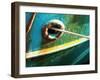 A Rope from a Boat-Katrin Adam-Framed Photographic Print