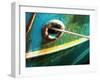 A Rope from a Boat-Katrin Adam-Framed Photographic Print