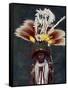 A Roro Chief Dressed for a Ceremonial Dance, Papua New Guinea, 1920-Charles Gabriel Seligman-Framed Stretched Canvas