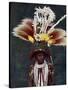 A Roro Chief Dressed for a Ceremonial Dance, Papua New Guinea, 1920-Charles Gabriel Seligman-Stretched Canvas