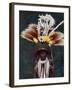 A Roro Chief Dressed for a Ceremonial Dance, Papua New Guinea, 1920-Charles Gabriel Seligman-Framed Giclee Print