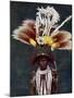 A Roro Chief Dressed for a Ceremonial Dance, Papua New Guinea, 1920-Charles Gabriel Seligman-Mounted Giclee Print