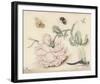 A Rose and Five Insects (1618)-Christoffel van den Berghe-Framed Art Print